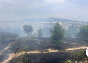 Φωτιά στη Μεσσηνία: Συνελήφθη 55χρονος χειριστής τρακτέρ – Από σπινθήρες ξεκίνησε