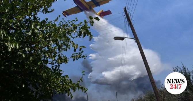 Θεσσαλονίκη: Φωτιά σε δασική έκταση κοντά στο Μονοπήγαδο Θέρμης