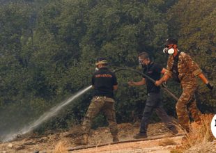 Φωτιά στη Σαγιάδα Θεσπρωτίας