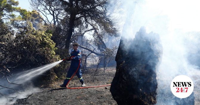 Φωτιά στην περιοχή Παγούρια Κομοτηνής