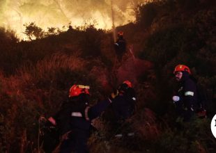 Στον ανακριτή την Τρίτη οι δύο συλληφθέντες για τη μεγάλη φωτιά στη Βοιωτία