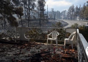 Χαλκιδική: Η επόμενη μέρα – Οι πληγές μετά το πέρασμα της φωτιάς