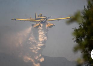 Φωτιά στη Σκύρο