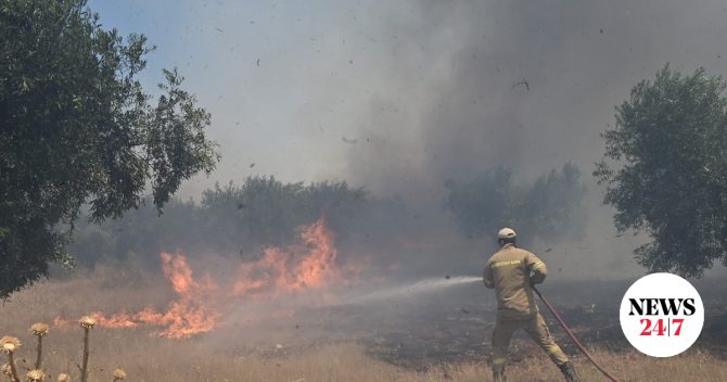 Δύο συλλήψεις για τη μεγάλη φωτιά στη Βοιωτία που πέρασε στη Δυτική Αττική