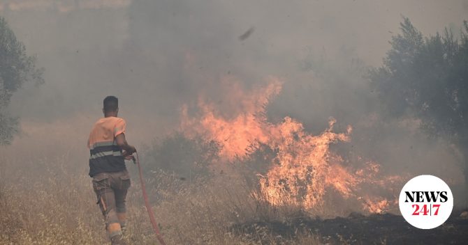Οι πιο επικίνδυνες εβδομάδες για την εκδήλωση μεγάλων δασικών πυρκαγιών στην Ελλάδα