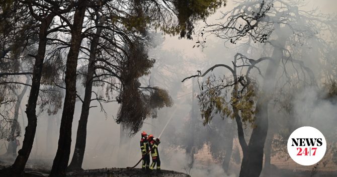 Φωτιές: Μάχη με τις αναζωπυρώσεις κατά τη διάρκεια της νύχτας