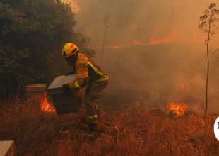 Κίνδυνος πυρκαγιάς: Red Code σήμερα σε Αττική και άλλες πέντε περιφέρειες