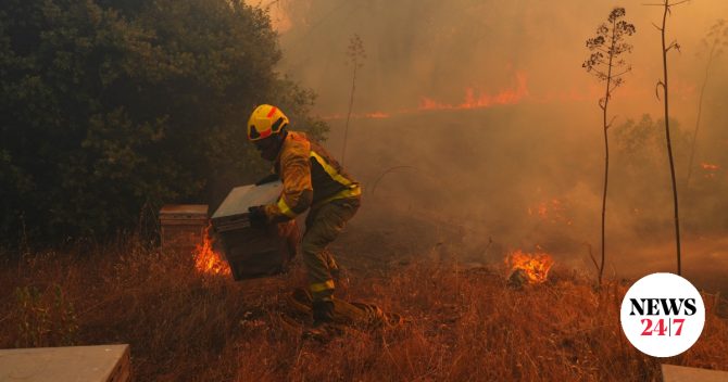 Κίνδυνος πυρκαγιάς: Red Code σήμερα σε Αττική και άλλες πέντε περιφέρειες