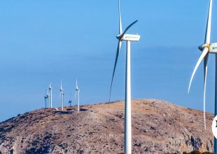 Φωτιά στη Βοιωτία: Πανελλαδική προκαταρκτική έρευνα από την ΔΑΕΕ για τα ταιολικά πάρκα