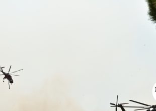 Ψάθα: Συνελήφθη αδελφός αντιδημάρχου που παραβίασε τον αποκλεισμό και προσέκρουσε στα συντρίμμια του ελικοπτέρου