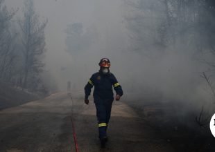 Πυροσβεστική: 49 αγροτοδασικές πυρκαγιές το τελευταίο 24ωρο
