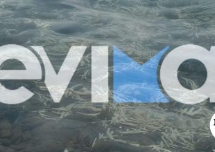 Μυστήριο στην Εύβοια: Χιλιάδες πόδια από κότες και γαλοπούλες ξεβράζονται σε ακτή