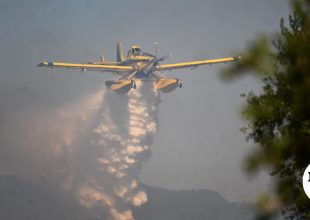 Φωτιά σε δασική έκταση στη Σκύρο – Μήνυμα του 112 για εκκένωση