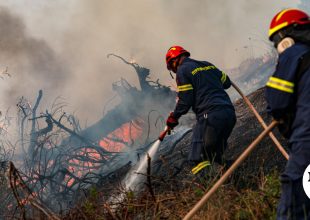 Τροιζήνα: Συνελήφθη 40χρονος για εμπρησμό – Ύποπτος για άλλες