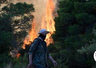 Φωτιά σε Αττική – Βοιωτία: Πώς κάηκε μέσα σε δύο βράδια το 55% της έκτασης
