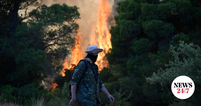 Φωτιά σε Αττική – Βοιωτία: Πώς κάηκε μέσα σε δύο βράδια το 55% της έκτασης