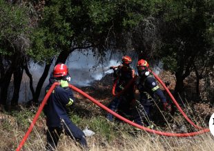 Φωτιά στις Σέρρες – Κινητοποίηση της Πυροσβεστικής στη Νέα Πέτρα