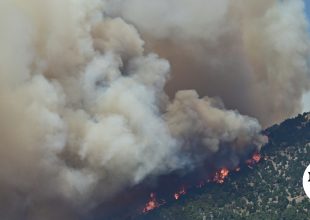 Φωτιά στη Δυτική Αττική: Πώς μέσα σε λιγότερο από δύο ώρες οι φλόγες έφτασαν στην Ψάθα
