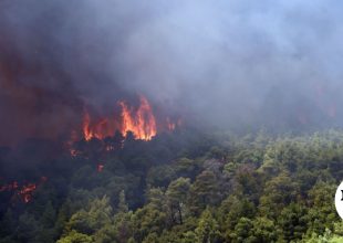 Μεγάλη φωτιά στην Πάστρα Κεφαλονιάς – Απανωτά μηνύματα 112 για εκκενώσεις