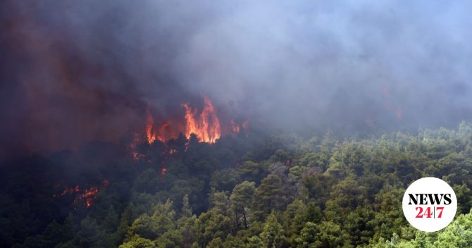 Μεγάλη φωτιά στην Πάστρα Κεφαλονιάς – Απανωτά μηνύματα 112 για εκκενώσεις
