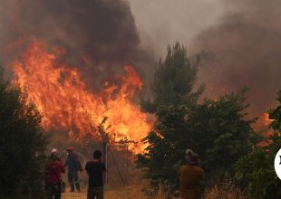 Ηλεία: Μεγάλη δασική πυρκαγιά τη νύχτα στην Αλφειούσα
