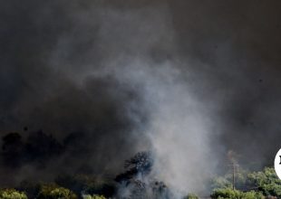 11 συλλήψεις για φωτιές σε Αργολίδα, Ηλεία, Σέρρες, Αττική και Λέσβο