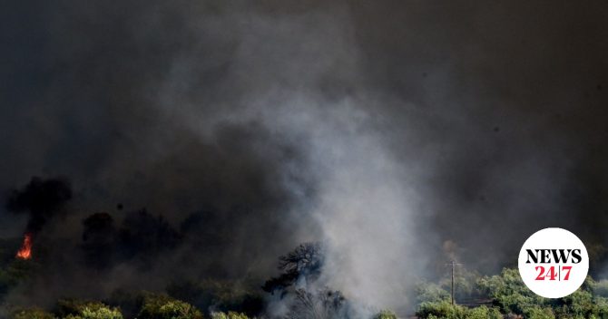 11 συλλήψεις για φωτιές σε Αργολίδα, Ηλεία, Σέρρες, Αττική και Λέσβο