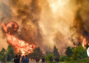 Τουρνάς: Πάνω από 400 πυρκαγιές σε δέκα ημέρες