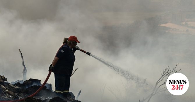 Κεφαλονιά: Συνελήφθη 44χρονος για εμπρησμό – Είχε καταδικαστεί ξανά για ίδια υπόθεση
