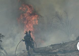 Φωτιά στον Παλαμπά Θεσπρωτίας