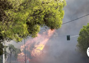 Φωτιά στη Γορτυνία Αρκαδίας