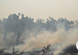 Στον εισαγγελέα οι δύο συλληφθέντες για την φωτιά σε Αττικοβοιωτία