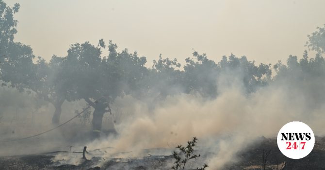 Στον εισαγγελέα οι δύο συλληφθέντες για την φωτιά σε Αττικοβοιωτία