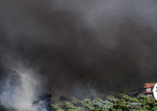 Βοιωτία: “Πάνω από 40.000 στρέμματα έχουν γίνει στάχτη, ασύλληπτη καταστροφή”