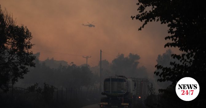 Φωτιά σε δάσος στην Τραπεζίτσα Κόνιτσας