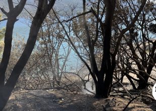 Οργισμένοι οι κάτοικοι στο Πόρτο Γερμενό: “Δεν μας έστειλαν ούτε αεροπλάνα, ούτε πυροσβέστες”