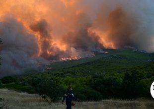 Κραυγή αγωνίας από τους κατοίκους του Πόρτο Γερμενό – “Ο καλύτερος πνεύμονας της Αττικής καταστράφηκε”