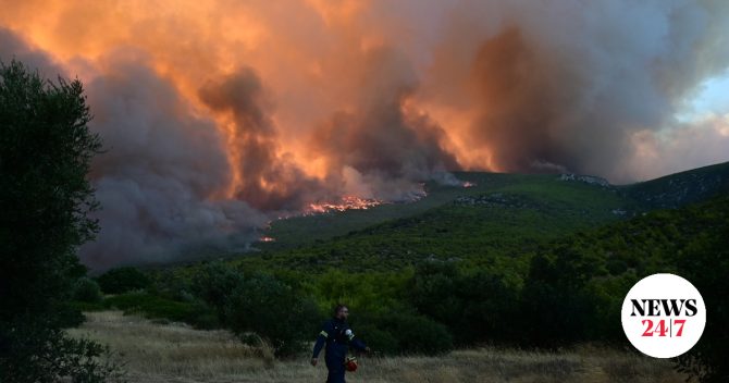 Κραυγή αγωνίας από τους κατοίκους του Πόρτο Γερμενό – “Ο καλύτερος πνεύμονας της Αττικής καταστράφηκε”