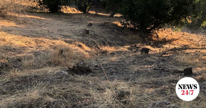 Λόφος Φιλοπάππου: Εργασίες καθαρισμού από τον Δήμο Αθηναίων μετά το δημοσίευμα του NEWS 24/7