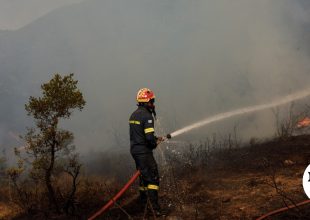 Φωτιά στη Σίνδο Θεσσαλονίκης