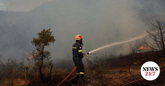 Φωτιά στη Σίνδο Θεσσαλονίκης