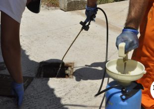 Πότε έγιναν οι πρώτοι ψεκασμοί για τα κουνούπια στην Αττική