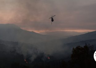 Φωτιά στο Νέο Μοναστήρι Φθιώτιδας