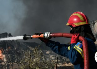 Φωτιά σε δασική έκταση στην Πρώτη Σερρών