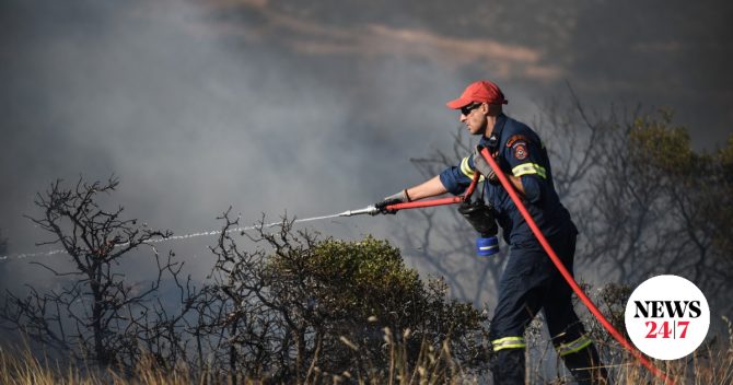 Κιλκίς: Φωτιά σε χαμηλή βλάστηση στην Ξηρόβρυση
