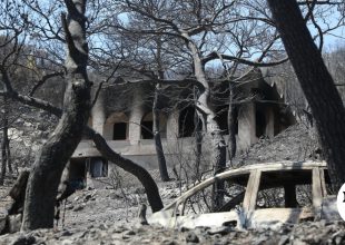Σαλαμίνα: Από αμέλεια ηλικιωμένης η φωτιά στα Περιστέρια – Ενδείξεις εμπρησμού για τη δεύτερη εστία