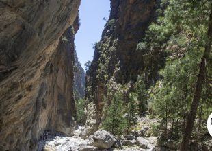 Χανιά: Αναζητείται 65χρονος στο Φαράγγι της Σαμαριάς