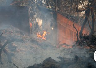 Εικόνες καταστροφές από τη φωτιά στη Χαλκιδική