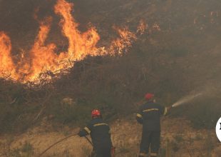 Σίβηρη Χαλκιδικής: Στα 2.480 στρέμματα η καμένη έκταση
