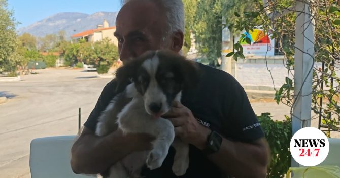 Ένα μικρό “θαύμα” μέσα στις φλόγες – Ο Μπρούνο, το κουτάβι, που γλίτωσε από τη φωτιά